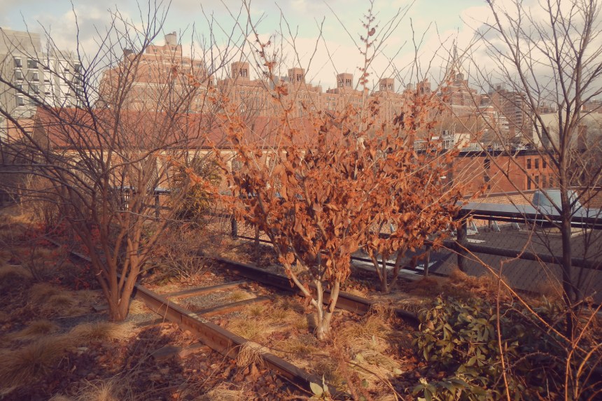 High Line 2