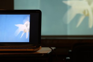 Proiezione fotografie di Sofia Bucci